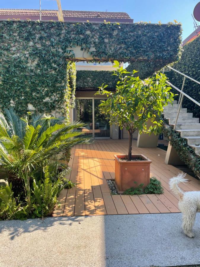 Joey Apartment Pietrasanta Exterior photo